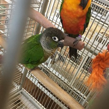 Pet Supermarket - Pet Stores Near Me - Miami, Florida Pet Supermarket - Pet Stores Near Me - Miami, Florida