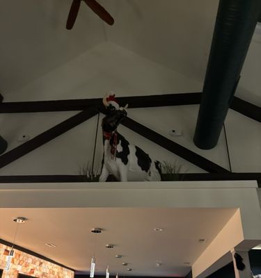 Saltbrick Prime Steakhouse by null