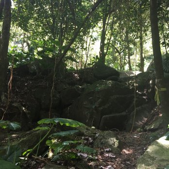 Casa Cubuy Ecolodge - Bed & Breakfast Near Me - Río Blanco, Puerto Rico