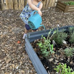 Waldorf School of Palm Beach