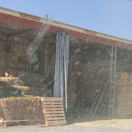 Fresh and tasty hay is always in stock! Fresh and tasty hay is always in stock!