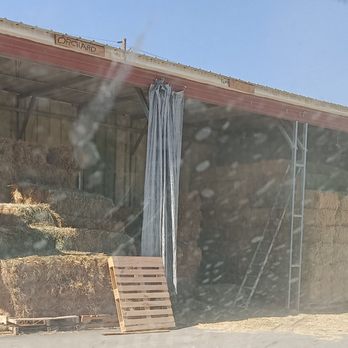 Rancho Vet Tack Feed & Supply - Fresh and tasty hay is always in stock! - Livestock Feed & Supply Near Me - Hemet, California Rancho Vet Tack Feed & Supply - Fresh and tasty hay is always in stock! - Livestock Feed & Supply Near Me - Hemet, California