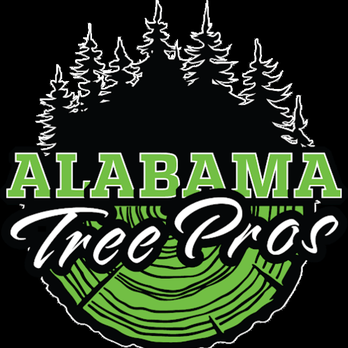 Alabama Tree Pros - Tree Services Near Me - Trafford, Alabama Alabama Tree Pros - Tree Services Near Me - Trafford, Alabama