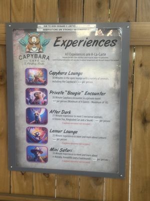 Menu photo 4 Capybara Cafe St. Petersburg, FL Menu photo 4 Capybara Cafe St. Petersburg, FL