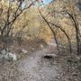 Photo of Rattlesnake Gulch Trail