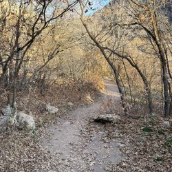 Rattlesnake Gulch Trail - At the beginning of the trail before it gets unforgivingly steep.