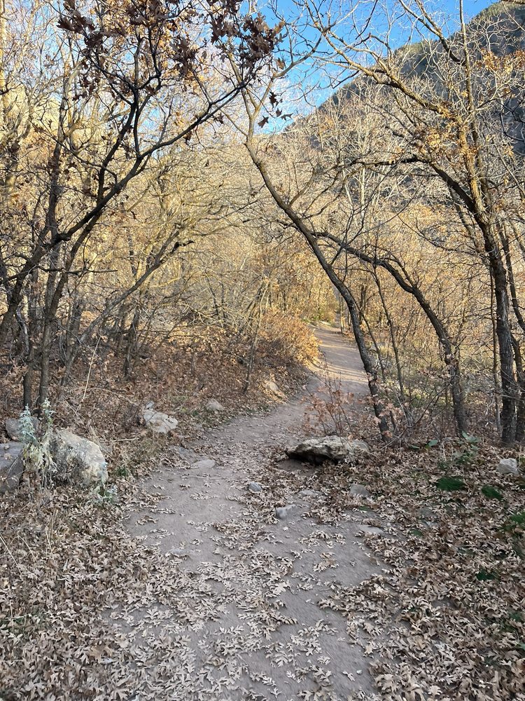 Rattlesnake Gulch Trail Logo