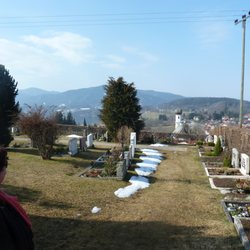 Friedhof von Ludwig Erhard