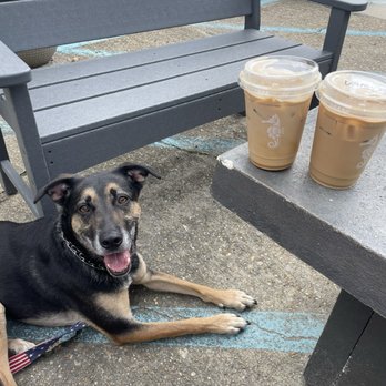 COVA Brewing Company - Iced caramel macchiato - Coffee & Tea Near Me - Norfolk, Virginia