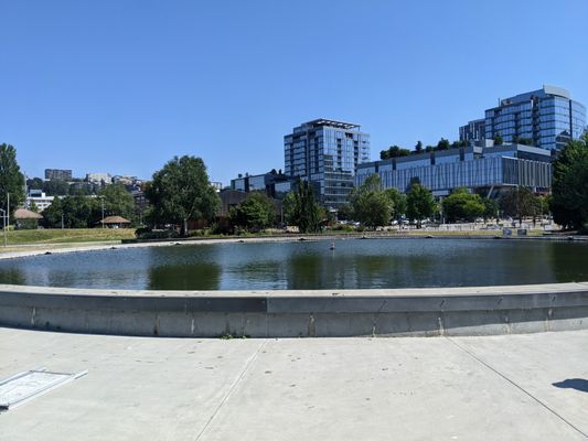 Lake Union Park by null