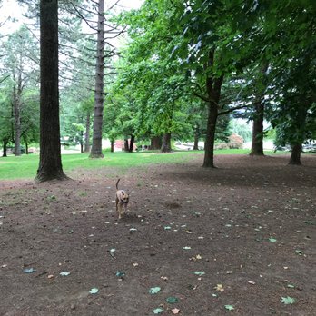 Council Crest Park - Cako Approves! - Dog Parks Near Me - Portland, Oregon Council Crest Park - Cako Approves! - Dog Parks Near Me - Portland, Oregon