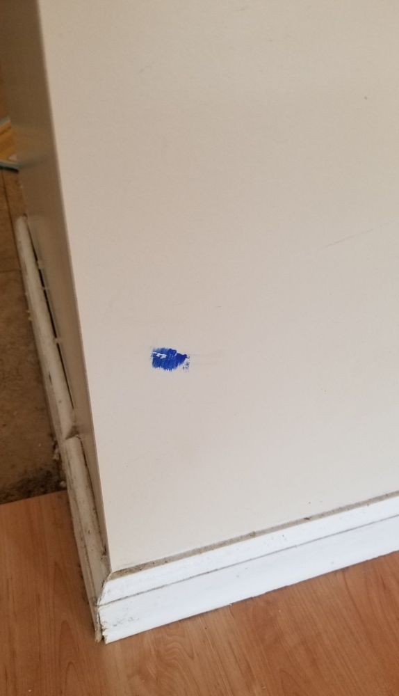 DREAM CLEANING 808 66 Photos & 10 Reviews 213 Kaliponi St, Honolulu