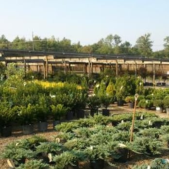 Adamson We-Gro - a variety of plants and trees - Landscaping Near Me - Palmyra, Indiana