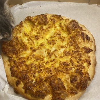 Mimino - a cat sniffing a pizza in a box - Georgian Near Me Mimino - a cat sniffing a pizza in a box - Georgian Near Me