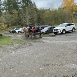 Pioneer Farm Museum - Wagon ride