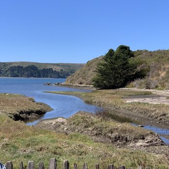 Hog Island Oyster - The bay - Seafood Near Me - Marshall, California Hog Island Oyster - The bay - Seafood Near Me - Marshall, California