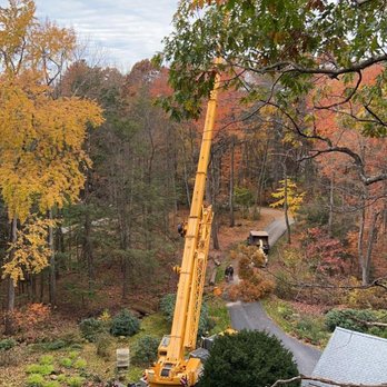 Precision Tree And Landscape - Tree Services Near Me
