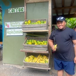 Fresh fruit stop!
