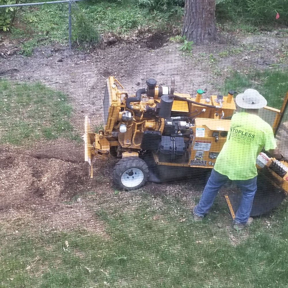 All Out Tree and Stump Removal - Tree Services Near Me - Virginia Beach, Virginia All Out Tree and Stump Removal - Tree Services Near Me - Virginia Beach, Virginia