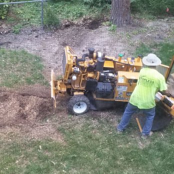 All Out Tree and Stump Removal - Tree Services Near Me - Virginia Beach, Virginia