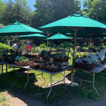 Blooming Hill Farm - Farmers Market Near Me - Monroe, New York Blooming Hill Farm - Farmers Market Near Me - Monroe, New York