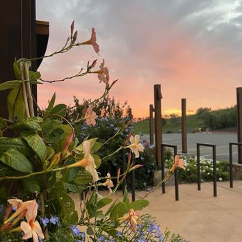 Bouchaine Vineyards - Wine Tasting Room Near Me - Napa, California