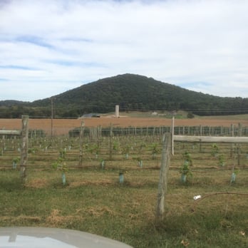 Bluestone Vineyard - Wineries Near Me - Bridgewater, Virginia Bluestone Vineyard - Wineries Near Me - Bridgewater, Virginia