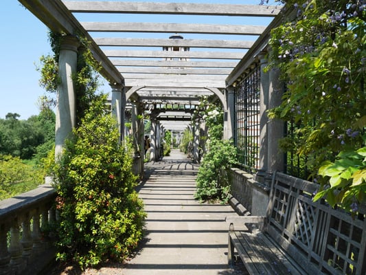 The Hill Garden and Pergola by null