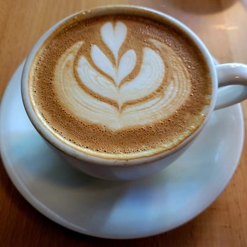 Curio Coffee - Coffee & Tea Near Me - Cambridge, Massachusetts