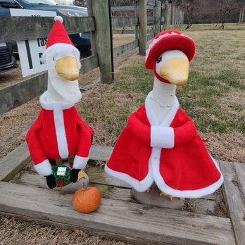 Chateau Merrillanne - Wineries Near Me - Orange, Virginia