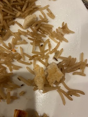 Kebab House (Halal) by null