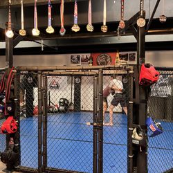 Chaos Fight Team Mma Muay Thai