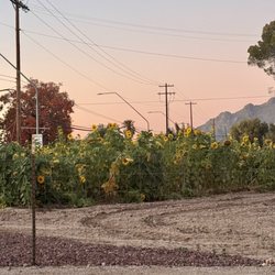 Tucson Village Farm