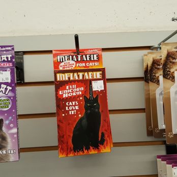 Rhino Records - Cat gag gifts - Music & DVDs Near Me - Montclair, California