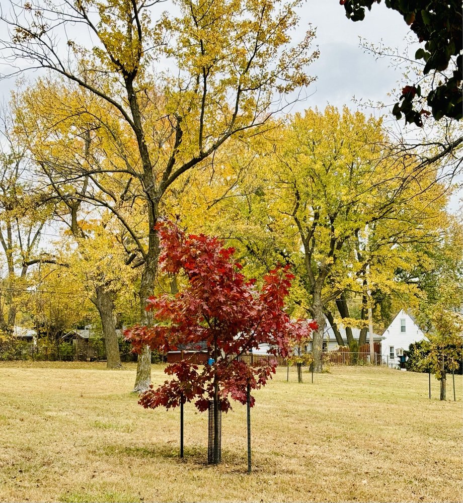 Pipal Park - social services organization in Omaha, NE