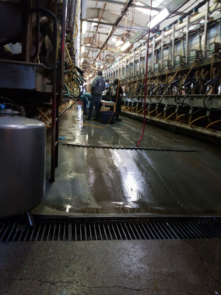 DERUYTER DAIRY 5121 Dekker Rd, Outlook, Washington Phone Number Yelp