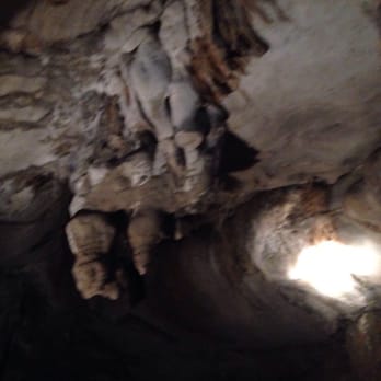 Penn's Cave & Wildlife Park - Thankfully no bats today. - Historical Tours Near Me - Centre Hall, Pennsylvania Penn's Cave & Wildlife Park - Thankfully no bats today. - Historical Tours Near Me - Centre Hall, Pennsylvania