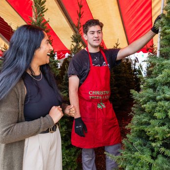 Christmas Trees 4 Less - Christmas Trees Near Me - Anaheim, California Christmas Trees 4 Less - Christmas Trees Near Me - Anaheim, California
