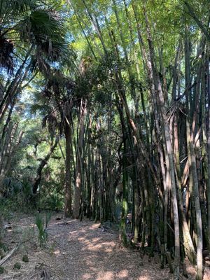 Koreshan State Park by null