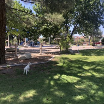Barkin' Basin Dog Park - Dog Parks Near Me - Las Vegas, Nevada
