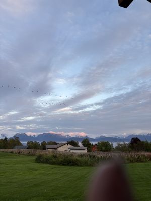 Glacier View Cabins by null