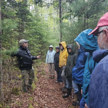 Immersion Nature Tours - Tours Near Me