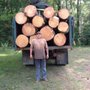 Photo of Aris Tree Service