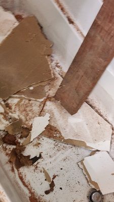 101 Roofing & Construction Logo