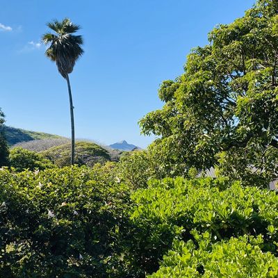 Mānoa Heritage Center by null