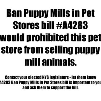 Pets Plus-Reptiles & Exotic Fish - Pet Stores Near Me - Lockport, New York Pets Plus-Reptiles & Exotic Fish - Pet Stores Near Me - Lockport, New York