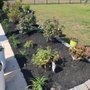 Photo of Colón Lawn Care