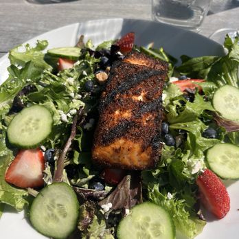 Vintage Brewing - Blackened Salmon Salad - Breweries Near Me - Madison, Wisconsin