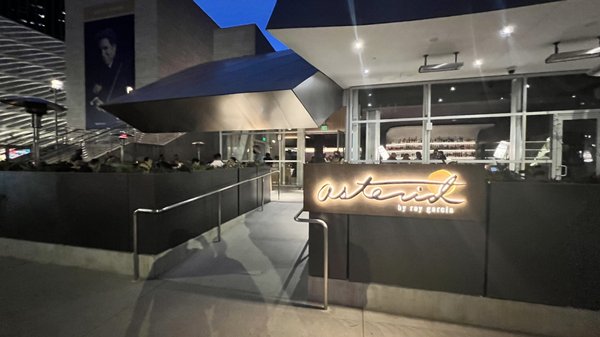 asterid by Ray Garcia by null