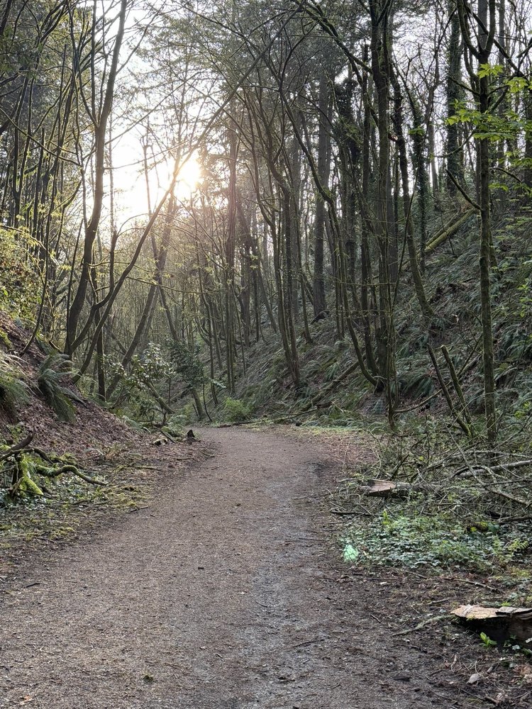 Puget Creek Natural Area Logo